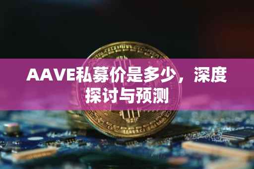 AAVE私募价是多少，深度探讨与预测