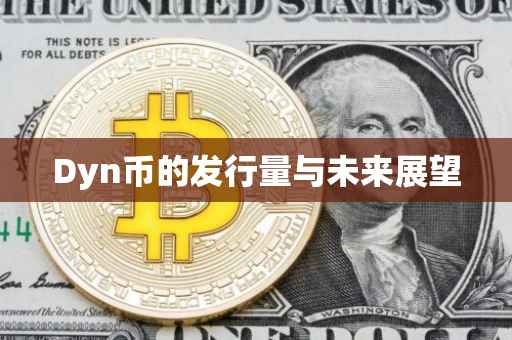 Dyn币的发行量与未来展望