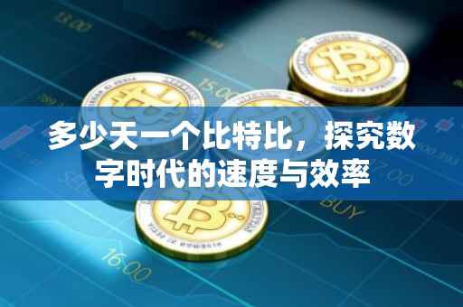 多少天一个比特比，探究数字时代的速度与效率