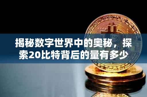 揭秘数字世界中的奥秘，探索20比特背后的量有多少