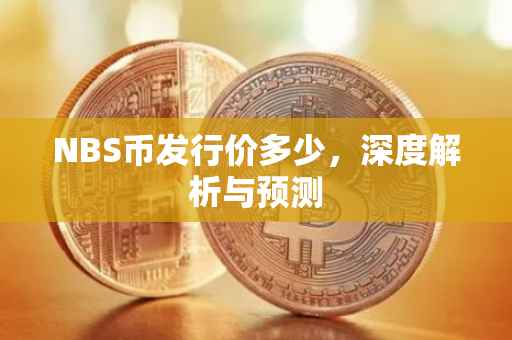 NBS币发行价多少，深度解析与预测