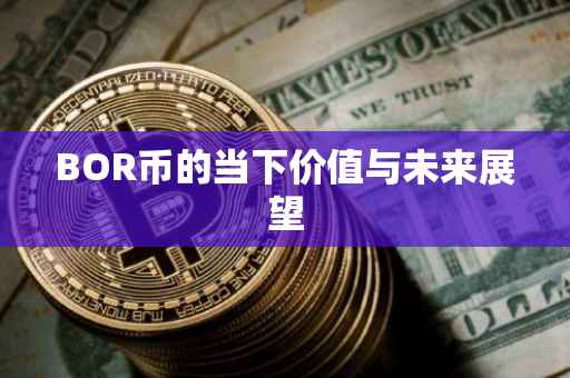 BOR币的当下价值与未来展望