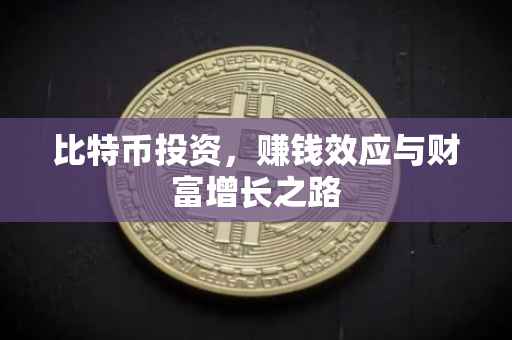 比特币投资，赚钱效应与财富增长之路