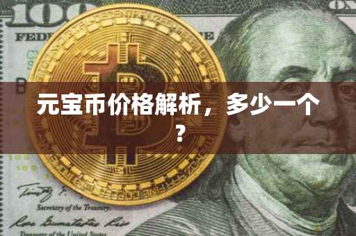 元宝币价格解析，多少一个？