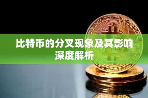 比特币的分叉现象及其影响深度解析