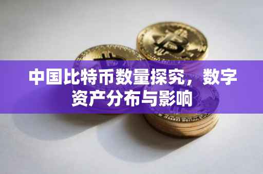 中国比特币数量探究，数字资产分布与影响