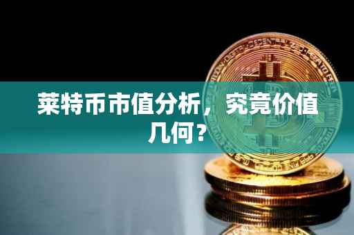 莱特币市值分析，究竟价值几何？