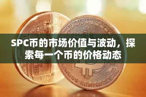 SPC币的市场价值与波动，探索每一个币的价格动态