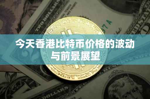 今天香港比特币价格的波动与前景展望