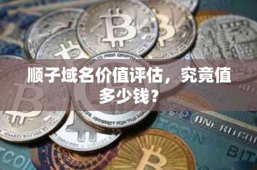 顺子域名价值评估，究竟值多少钱？