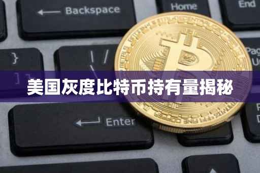 美国灰度比特币持有量揭秘