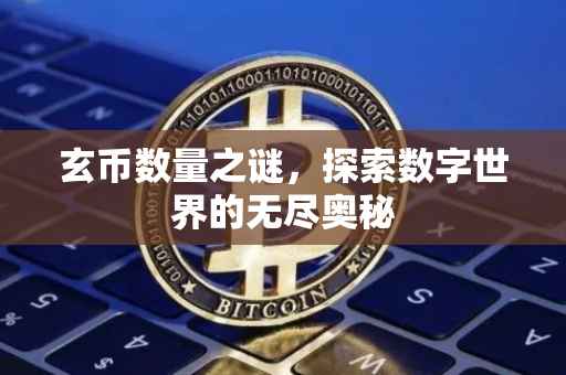 玄币数量之谜，探索数字世界的无尽奥秘