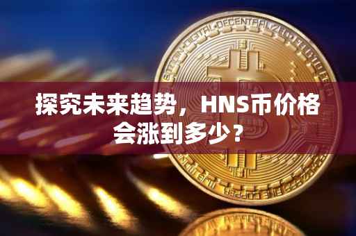 探究未来趋势，HNS币价格会涨到多少？