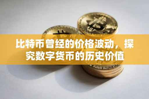 比特币曾经的价格波动，探究数字货币的历史价值