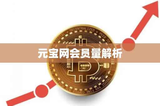 元宝网会员量解析