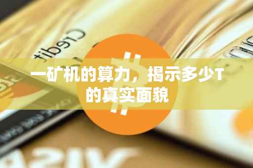一矿机的算力，揭示多少T的真实面貌