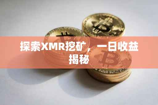 探索XMR挖矿，一日收益揭秘