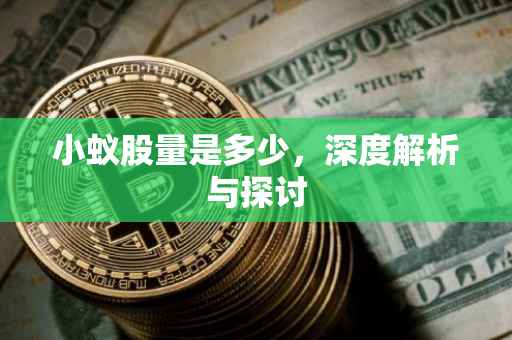 小蚁股量是多少，深度解析与探讨