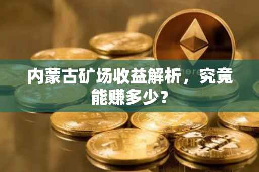 内蒙古矿场收益解析，究竟能赚多少？