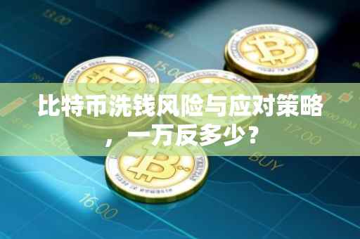 比特币洗钱风险与应对策略，一万反多少？