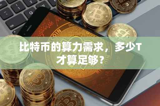 比特币的算力需求，多少T才算足够？