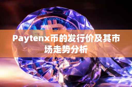 Paytenx币的发行价及其市场走势分析