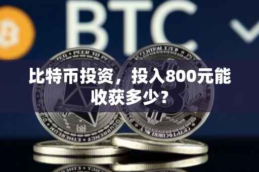 比特币投资，投入800元能收获多少？