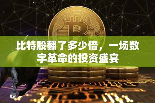 比特股翻了多少倍，一场数字革命的投资盛宴