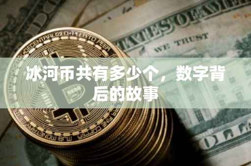 冰河币共有多少个，数字背后的故事