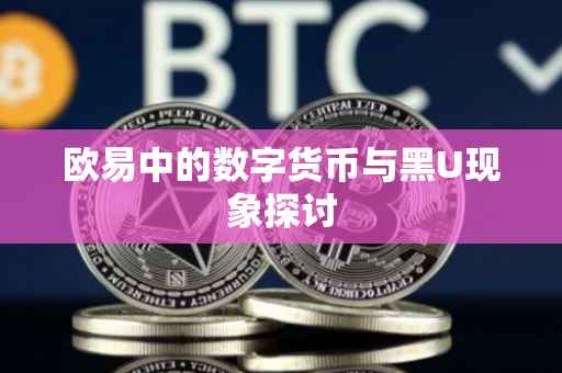 欧易中的数字货币与黑U现象探讨