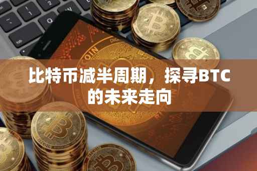 比特币减半周期，探寻BTC的未来走向