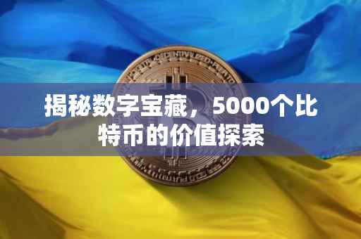 揭秘数字宝藏，5000个比特币的价值探索