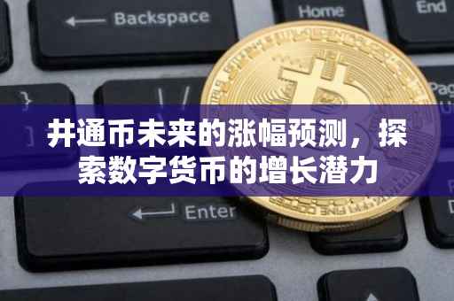 井通币未来的涨幅预测，探索数字货币的增长潜力