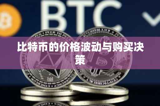 比特币的价格波动与购买决策