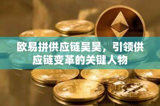 欧易拼供应链吴昊，引领供应链变革的关键人物