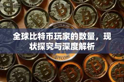 全球比特币玩家的数量，现状探究与深度解析