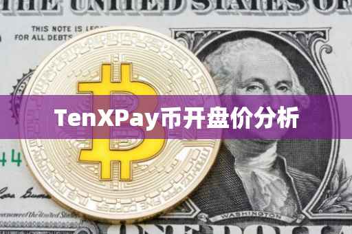 TenXPay币开盘价分析