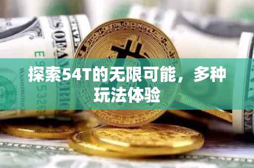 探索54T的无限可能，多种玩法体验
