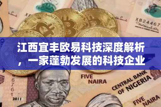 江西宜丰欧易科技深度解析，一家蓬勃发展的科技企业