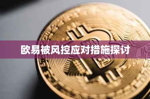 欧易被风控应对措施探讨