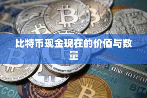 比特币现金现在的价值与数量