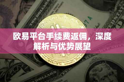 欧易平台手续费返佣，深度解析与优势展望