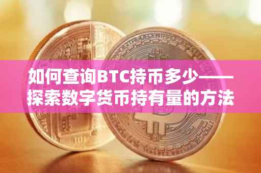 如何查询BTC持币多少——探索数字货币持有量的方法