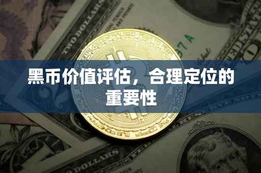 黑币价值评估，合理定位的重要性