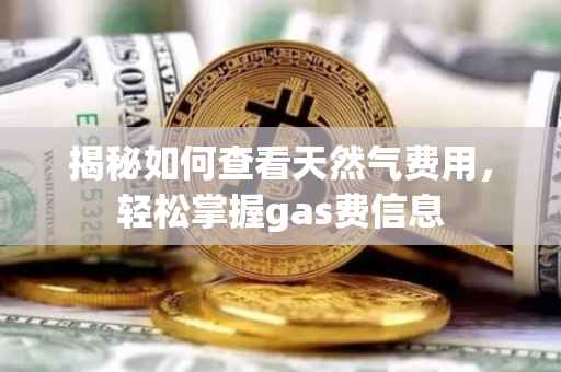揭秘如何查看天然气费用，轻松掌握gas费信息