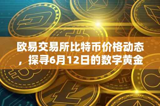欧易交易所比特币价格动态，探寻6月12日的数字黄金价值