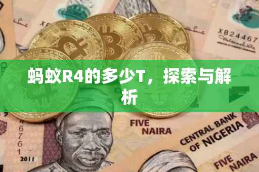 蚂蚁R4的多少T，探索与解析