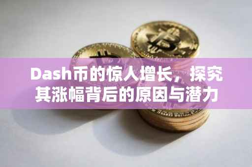 Dash币的惊人增长，探究其涨幅背后的原因与潜力