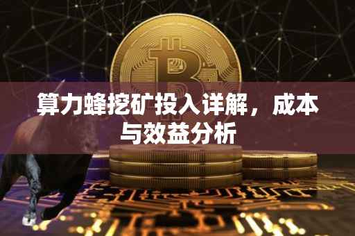 算力蜂挖矿投入详解，成本与效益分析