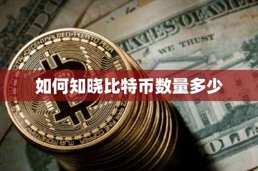 如何知晓比特币数量多少